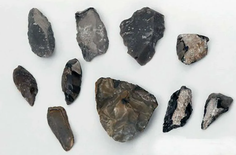 Самые интересные находки археологов в Беларуси Самые интересные находки археологов в Беларуси