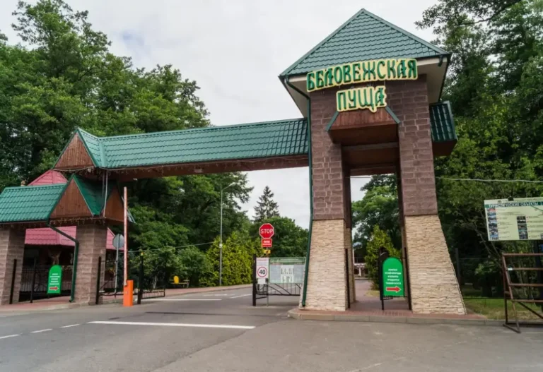 Беловежская пуща — легенды, духи и древние дубы