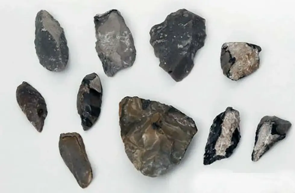 Самые интересные находки археологов в Беларуси Самые интересные находки археологов в Беларуси