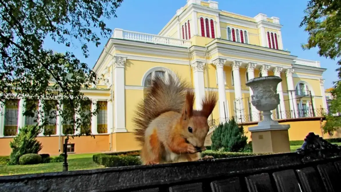 Города Беларуси - Путеводитель для тех, кто любит архитектуру и историю