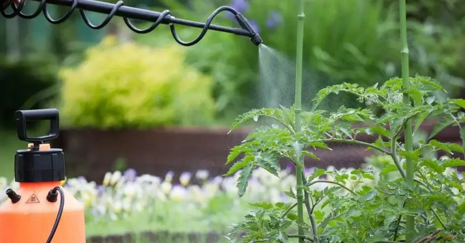 Как используют внекорневые удобрения в разных странах мира