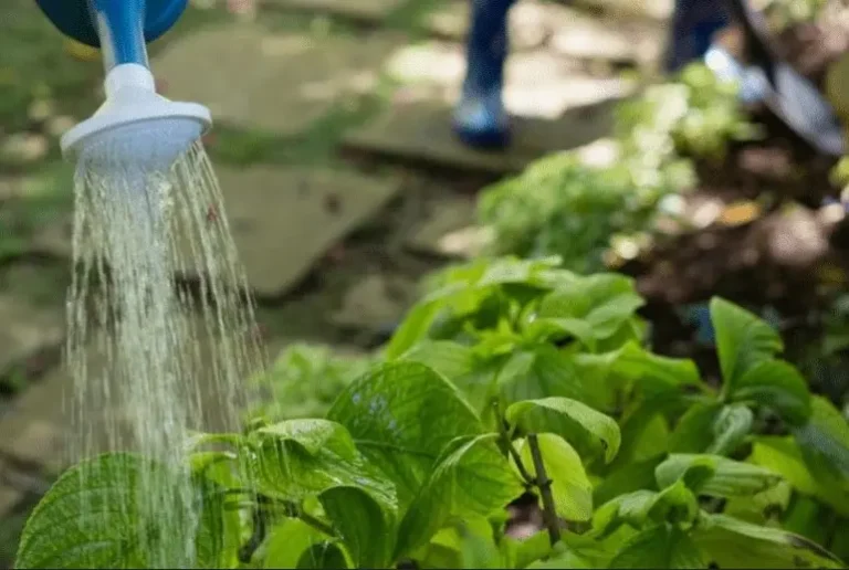 внекорневые удобрения